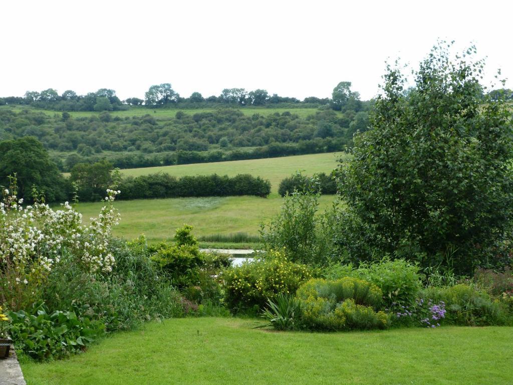 Cameley Lodge - Self Catering Temple Cloud Extérieur photo