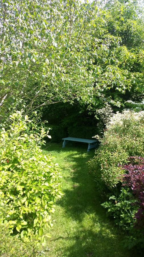 Cameley Lodge - Self Catering Temple Cloud Extérieur photo