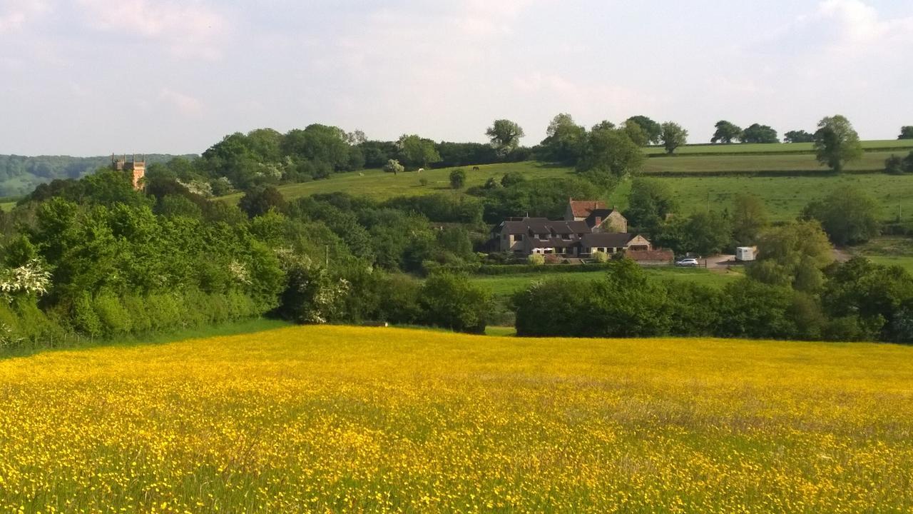 Cameley Lodge - Self Catering Temple Cloud Extérieur photo